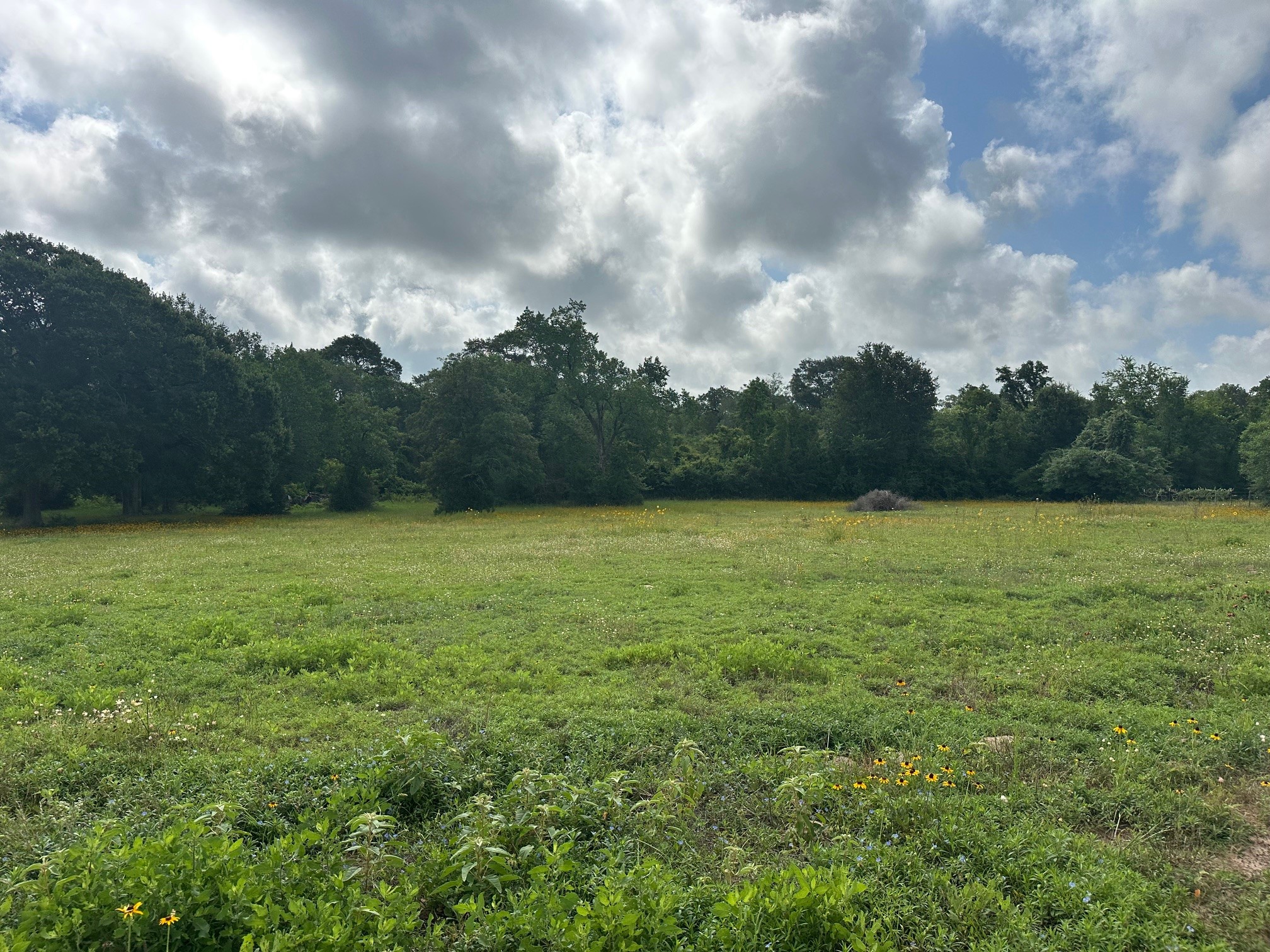 6220 Mill Creek Road Sealy, TX 77474 - Photo 7 of 27