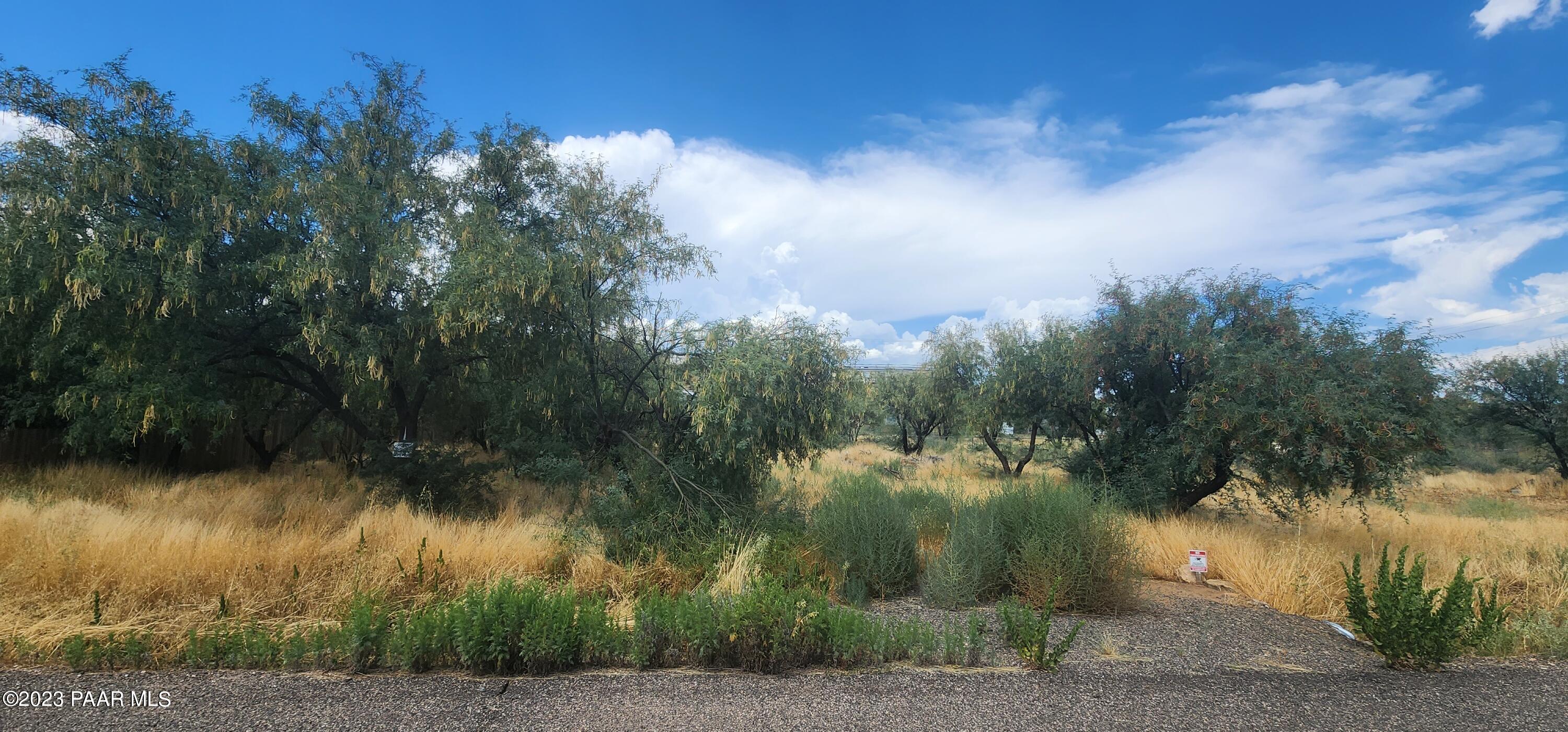 20960 East Butterfield Road Mayer, AZ 86333 - Photo 1 of 36 Main