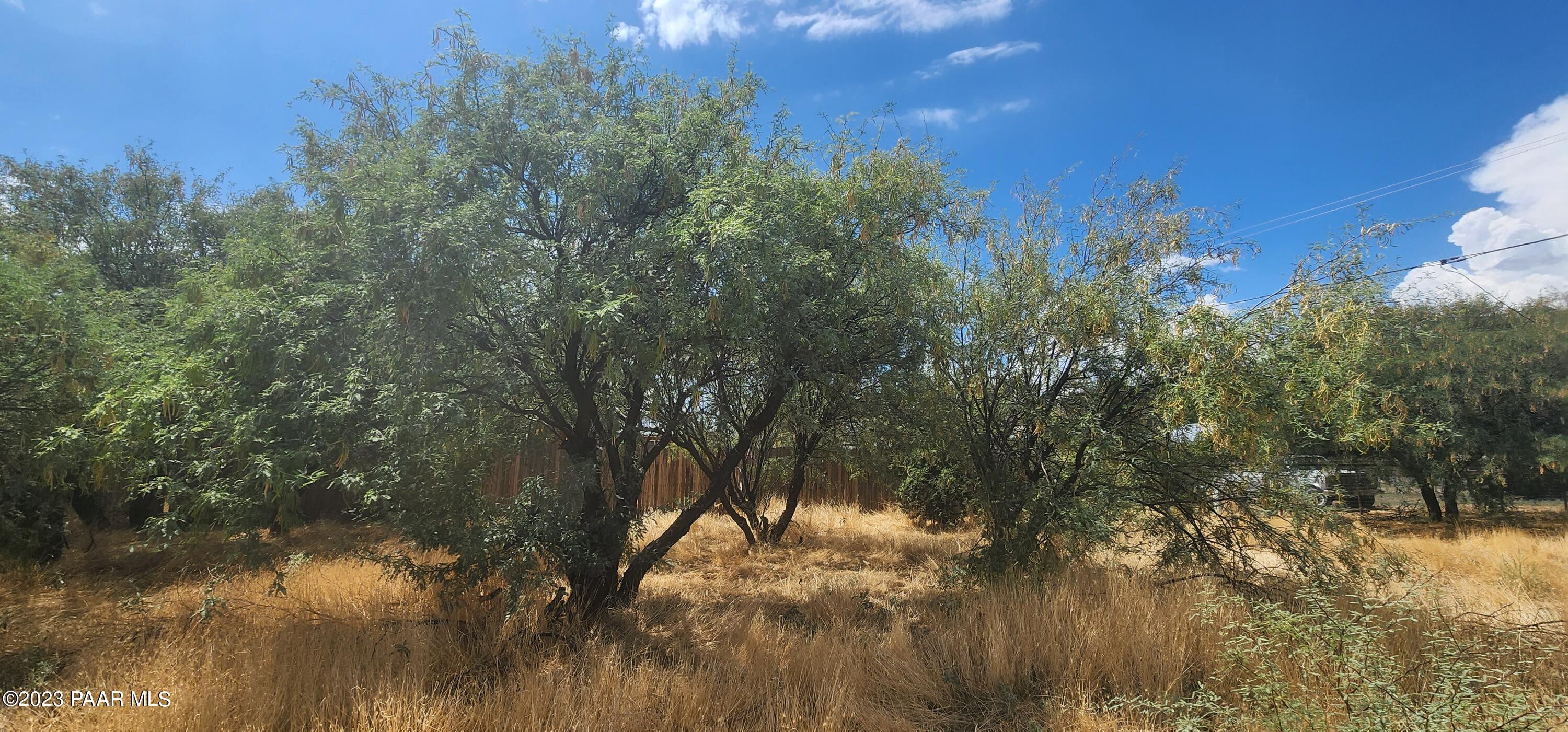 20960 East Butterfield Road Mayer, AZ 86333 - Photo 12 of 36 Panoramic View 5