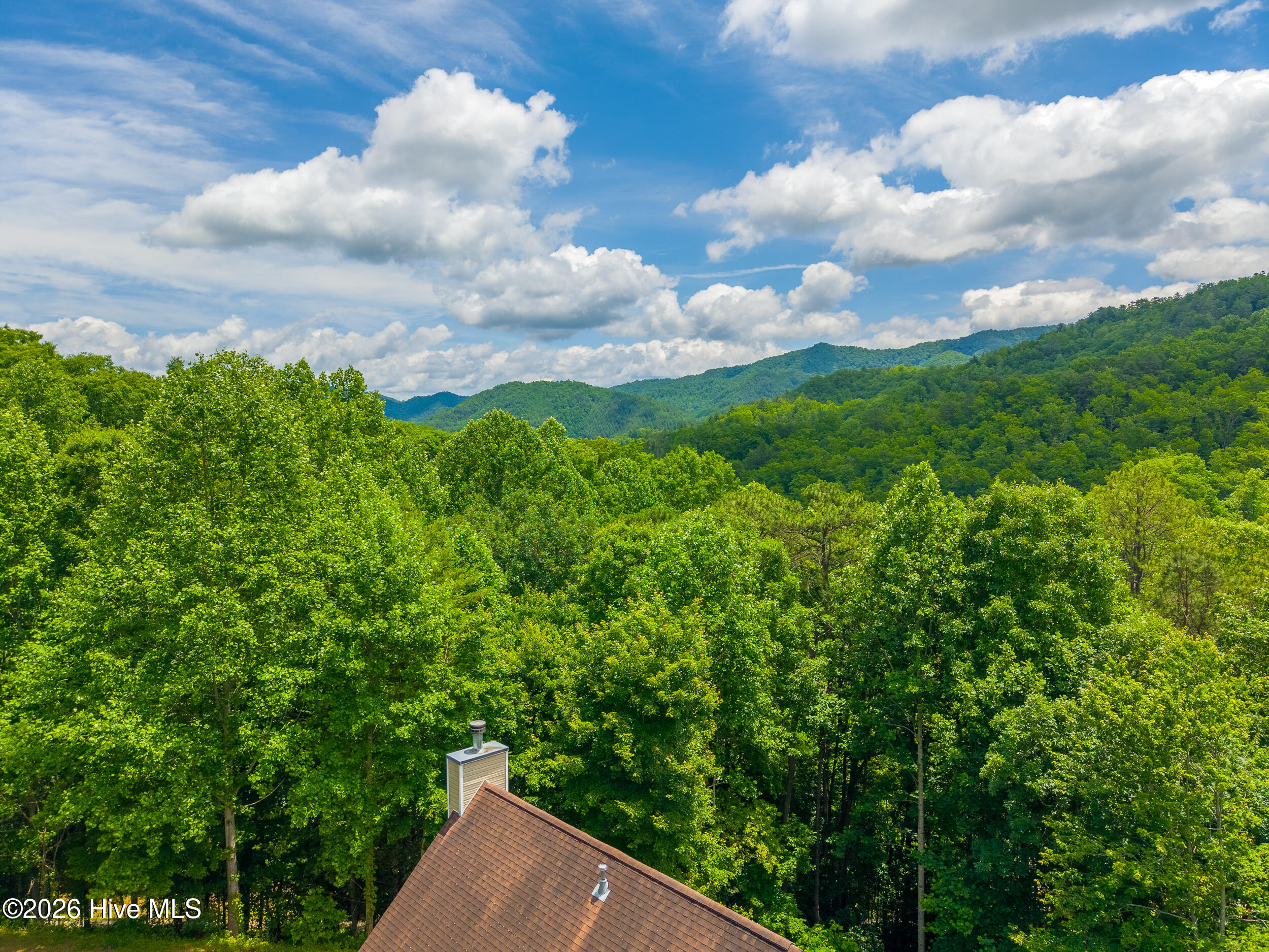 1044 Shell Stand Road Almond, NC 28702 - Photo 64 of 74
