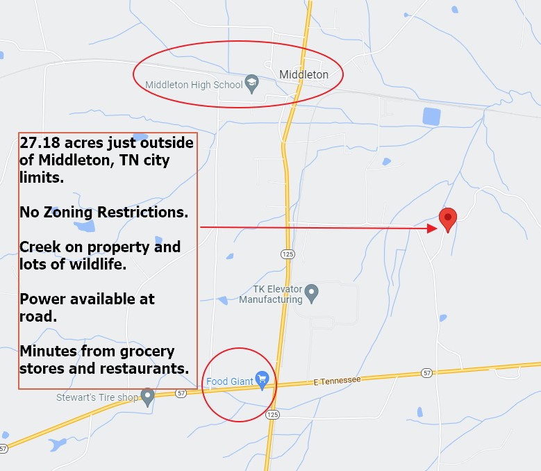 0 Fritton Spur Road Middleton, TN 38052 - Photo 15 of 23 Gallery Image 15