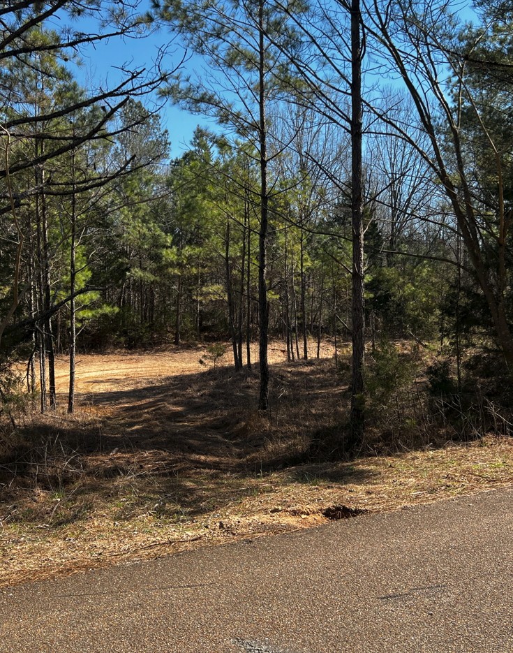 0 Fritton Spur Road Middleton, TN 38052 - Photo 20 of 23 Gallery Image 20
