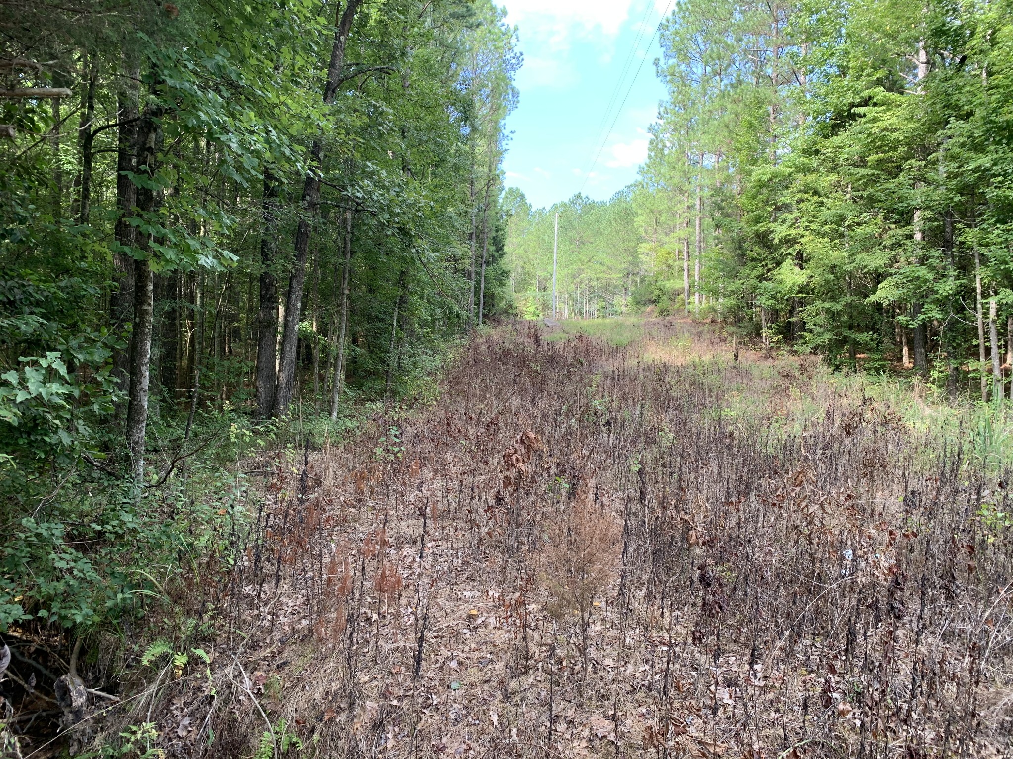 0 Fritton Spur Road Middleton, TN 38052 - Photo 2 of 23 Gallery Image 2