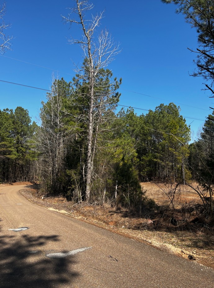 0 Fritton Spur Road Middleton, TN 38052 - Photo 21 of 23 Gallery Image 21