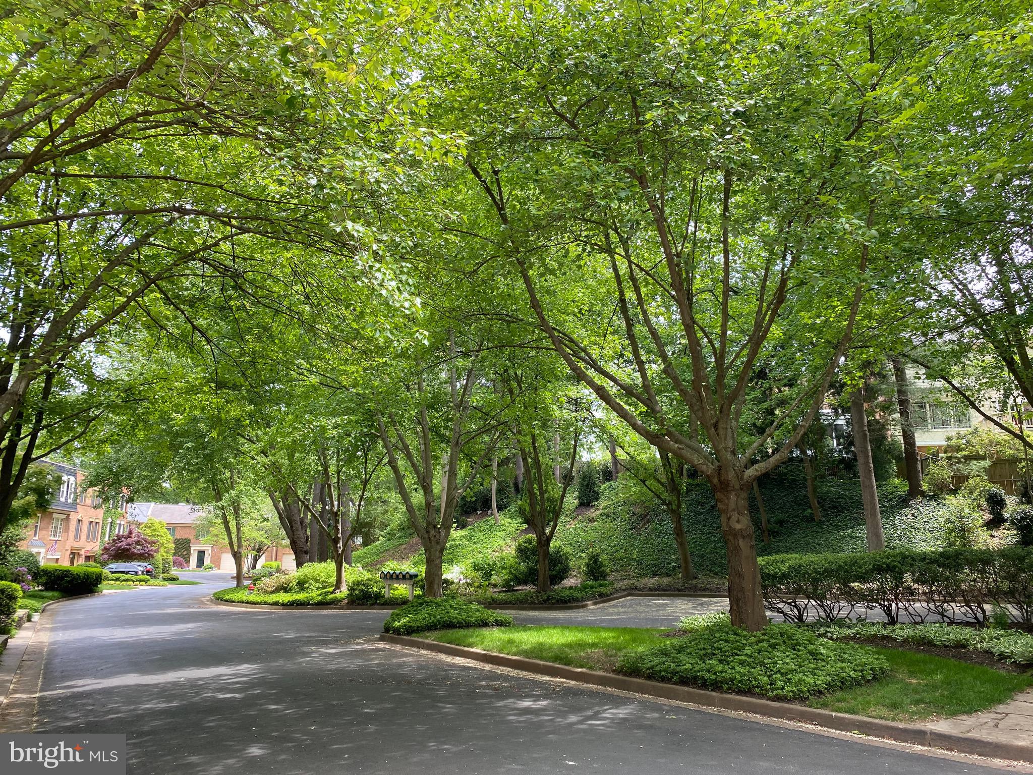 1302 Skipwith Road McLean, VA 22101 - Photo 8 of 9 Gallery Image 8