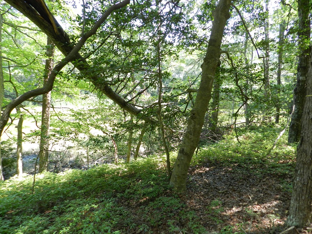 Lot B6 Saltworks Road, Unit B6 Exmore, VA 23350 - Photo 10 of 28