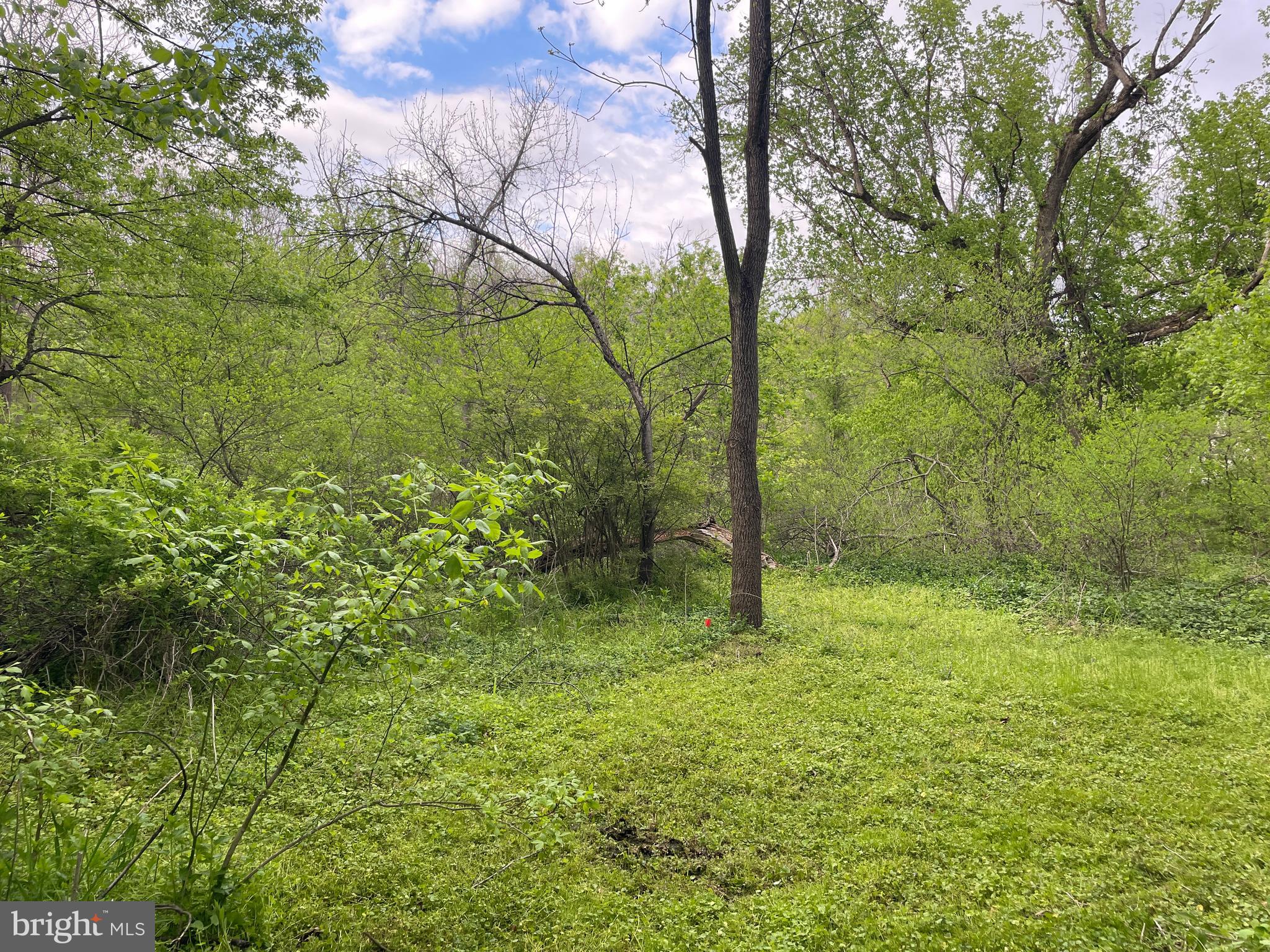 0 River Road Pequea, PA 17565 - Photo 14 of 28