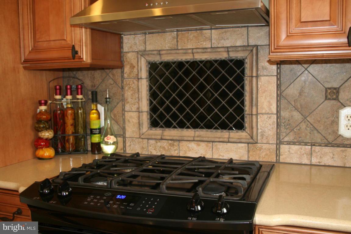 272 Squire Lane Lititz, PA 17543 - Photo 7 of 29 Gallery Image 7