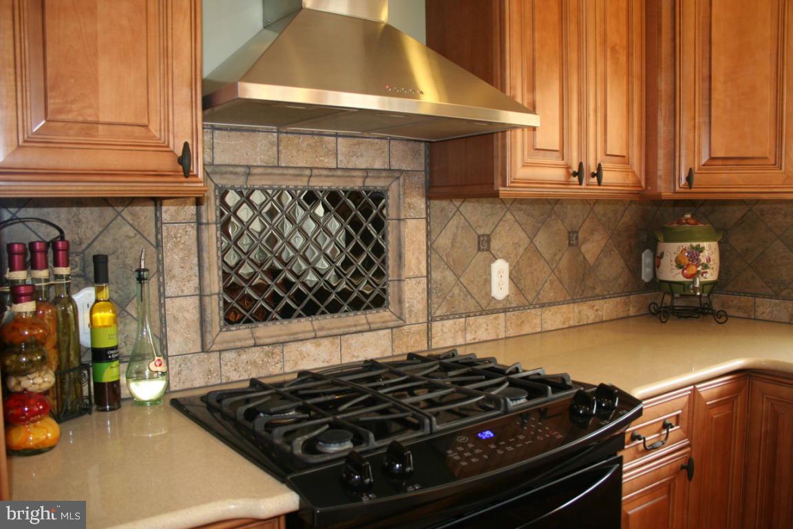 272 Squire Lane Lititz, PA 17543 - Photo 8 of 29 Gallery Image 8