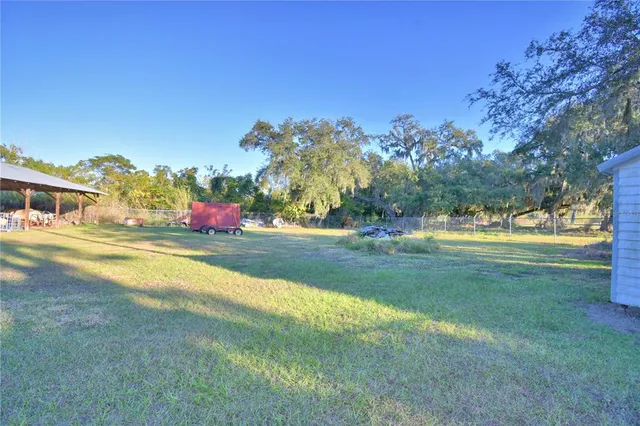 a view of green field with tree in the background