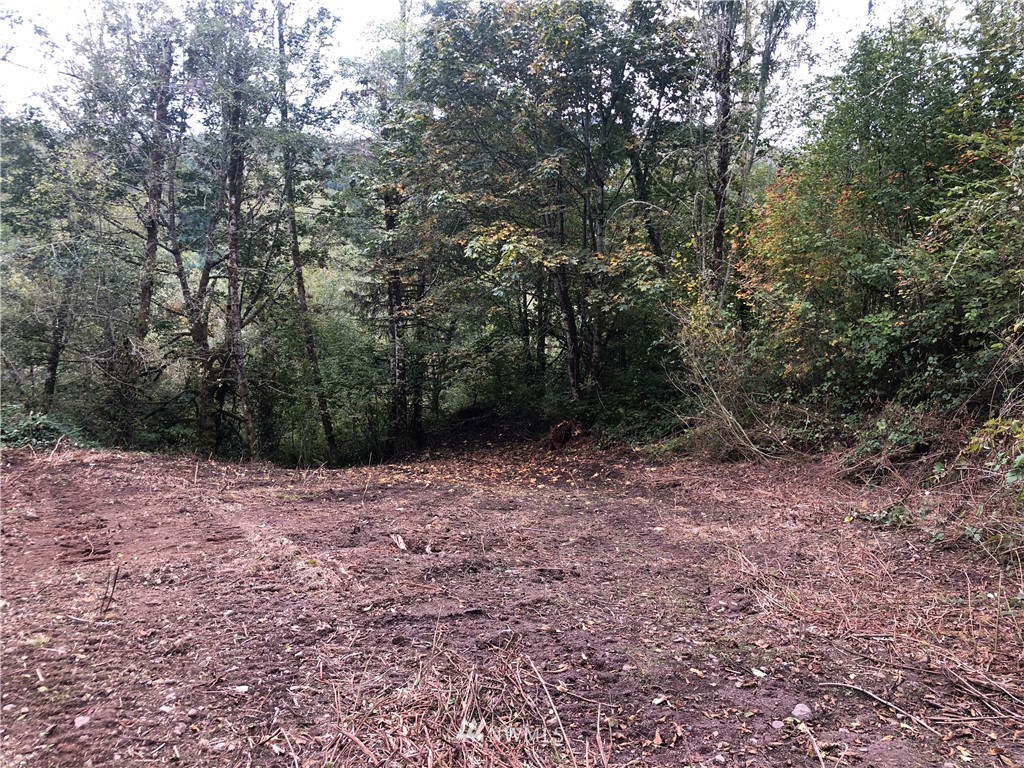 1 Kalama River Road Kalama, WA 98625 - Photo 1 of 3 Gallery Image 1