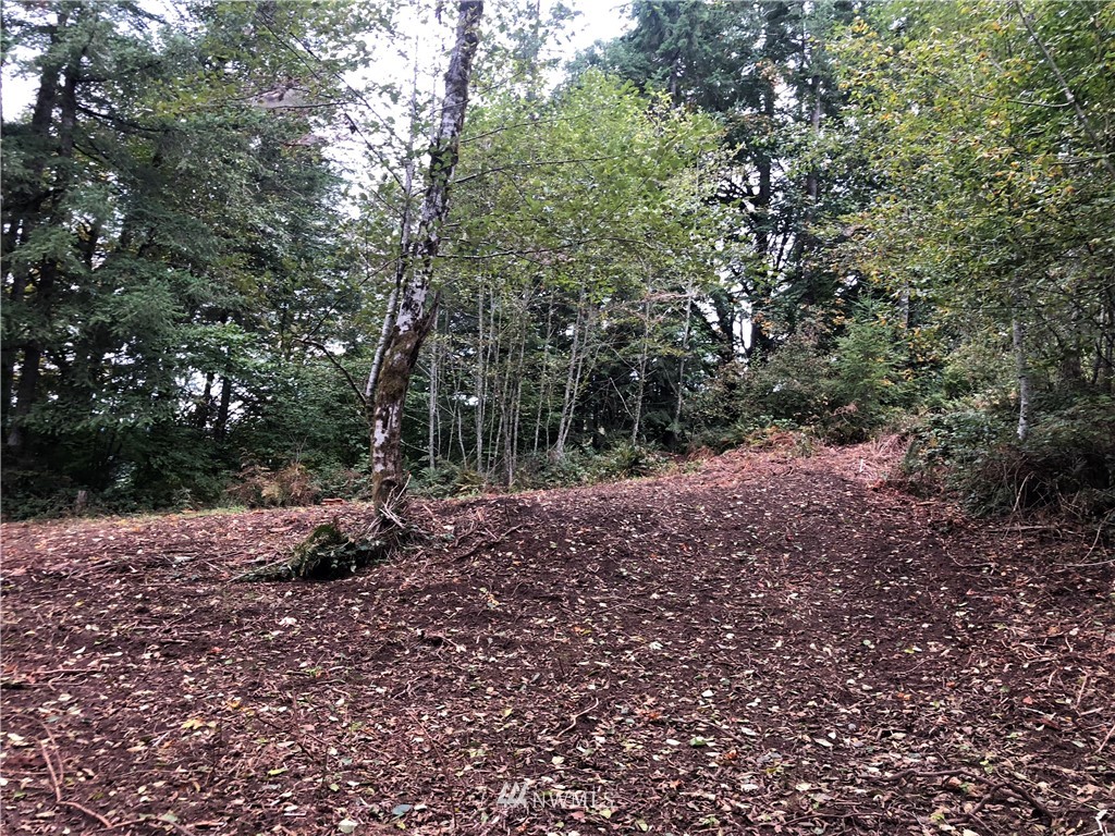 1 Kalama River Road Kalama, WA 98625 - Photo 2 of 3 Gallery Image 2