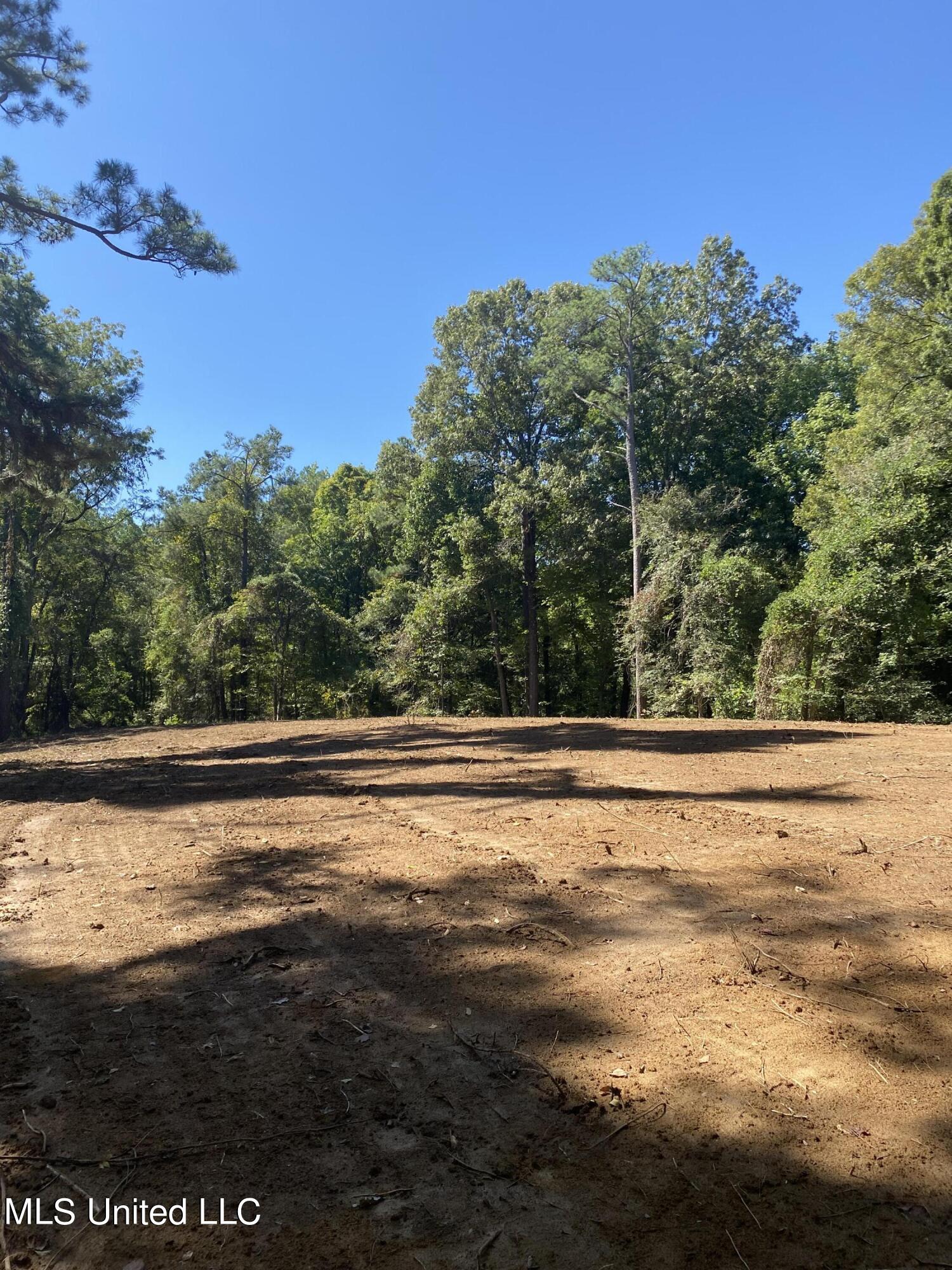 O Bluff Road Coldwater, MS 38618 - Photo 4 of 8 2024-10-02 11.57.56