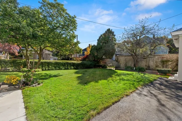 a view of a garden with plants and large trees
