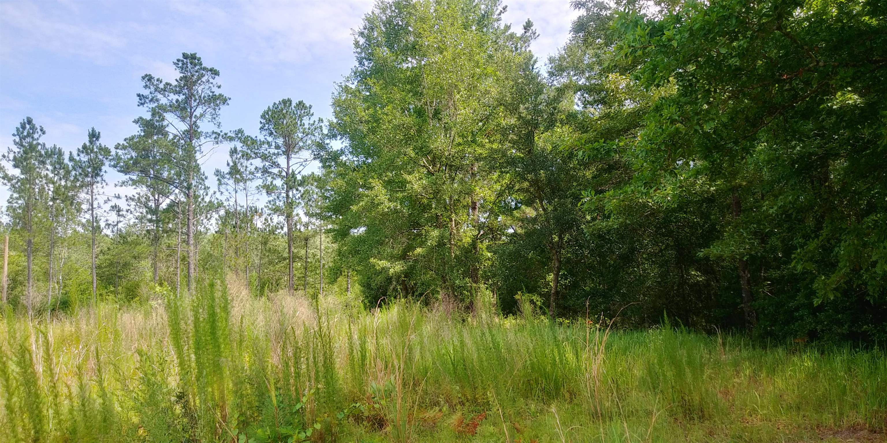 50705 Dyas Road Bay Minette, AL 36507 - Photo 4 of 6