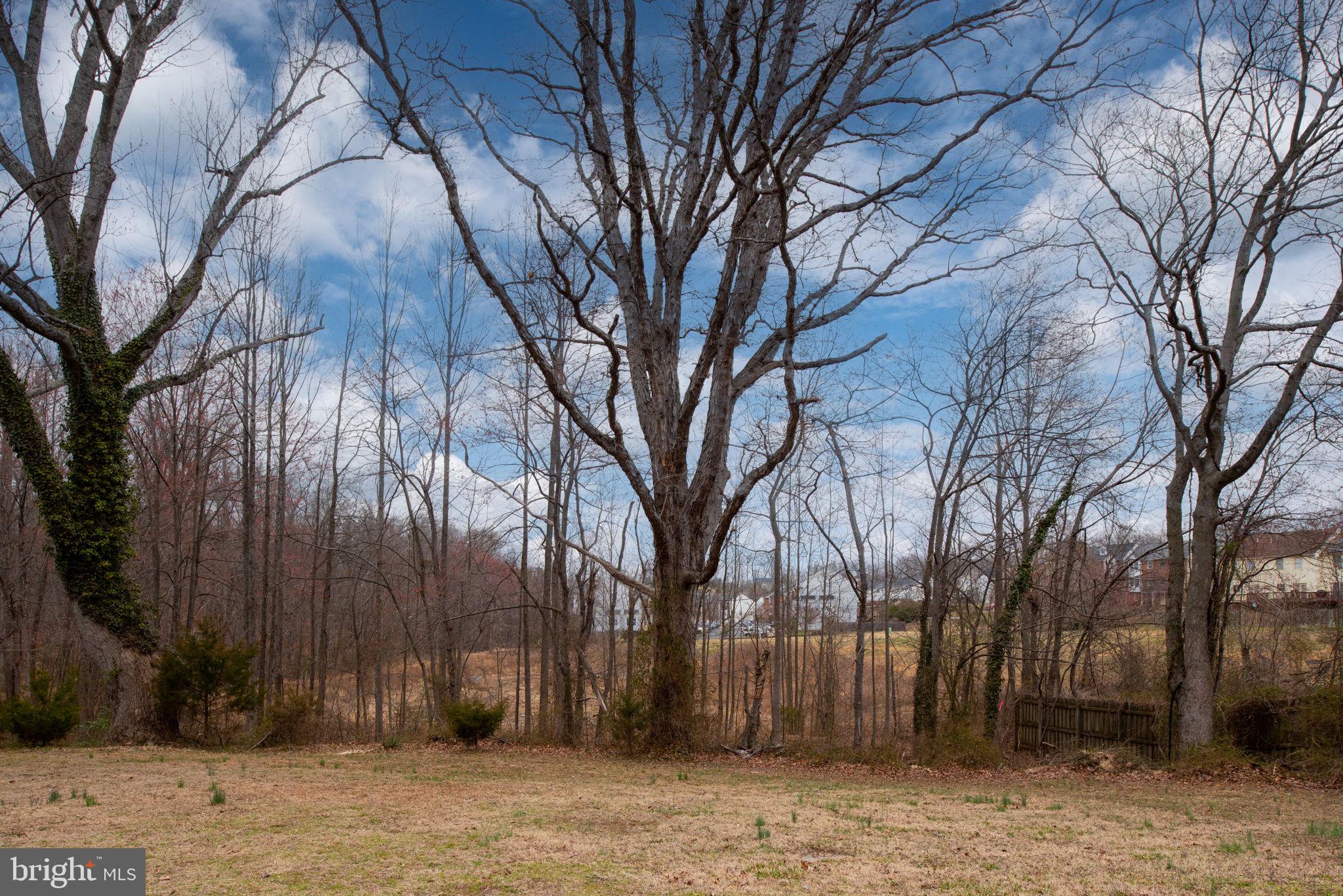 101 Harrell Road Fredericksburg, VA 22405 - Photo 58 of 68 Gallery Image 58