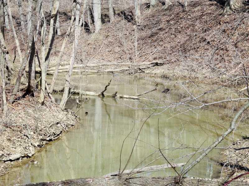 490 Plum Run Road Canonsburg, PA 15317 - Photo 23 of 25 Waterfront/Dock/Pier.