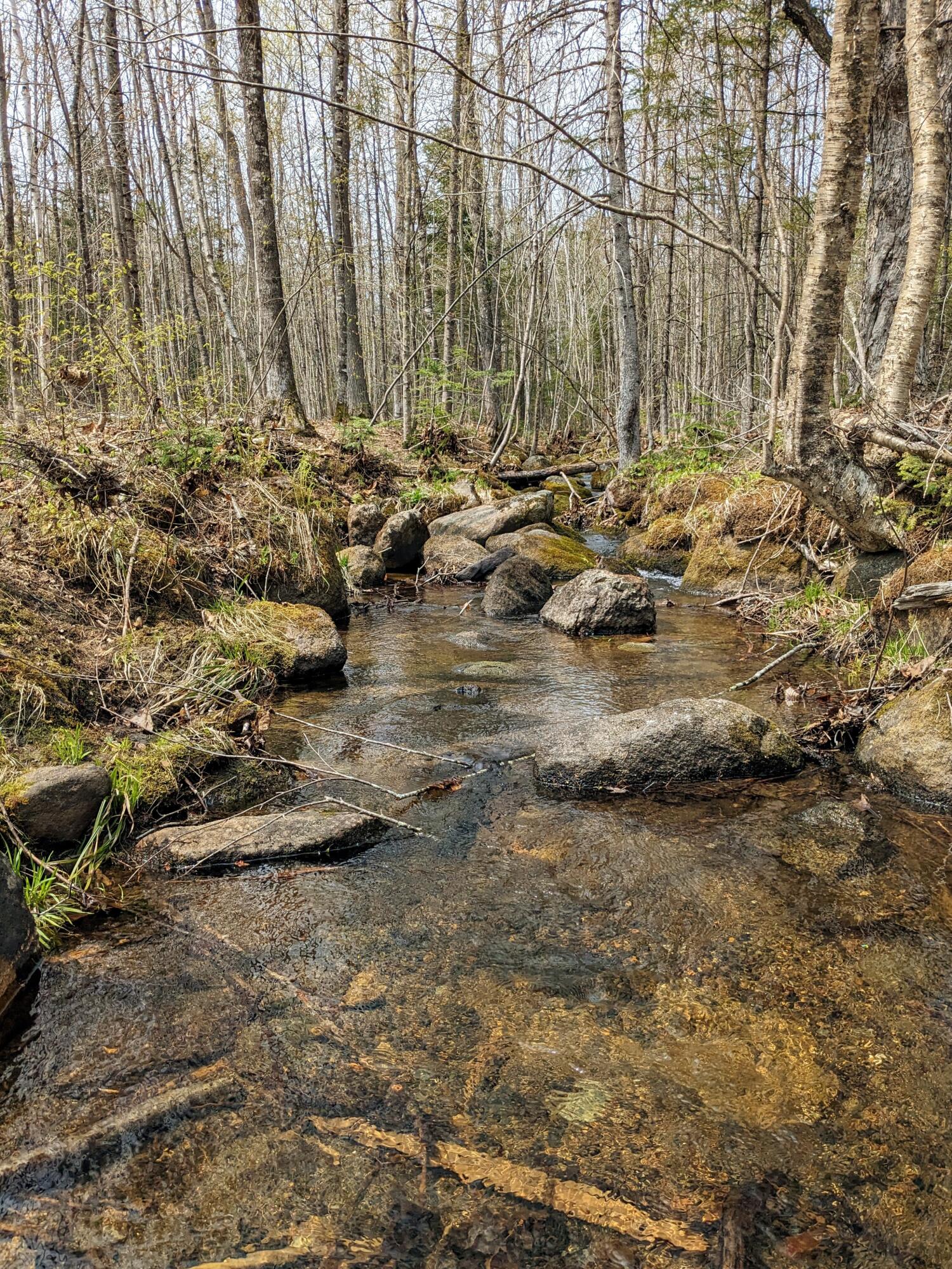 90 Old Bray Hill Road Phillips, ME 04966 - Photo 39 of 40 90 Old Bray Hill Road