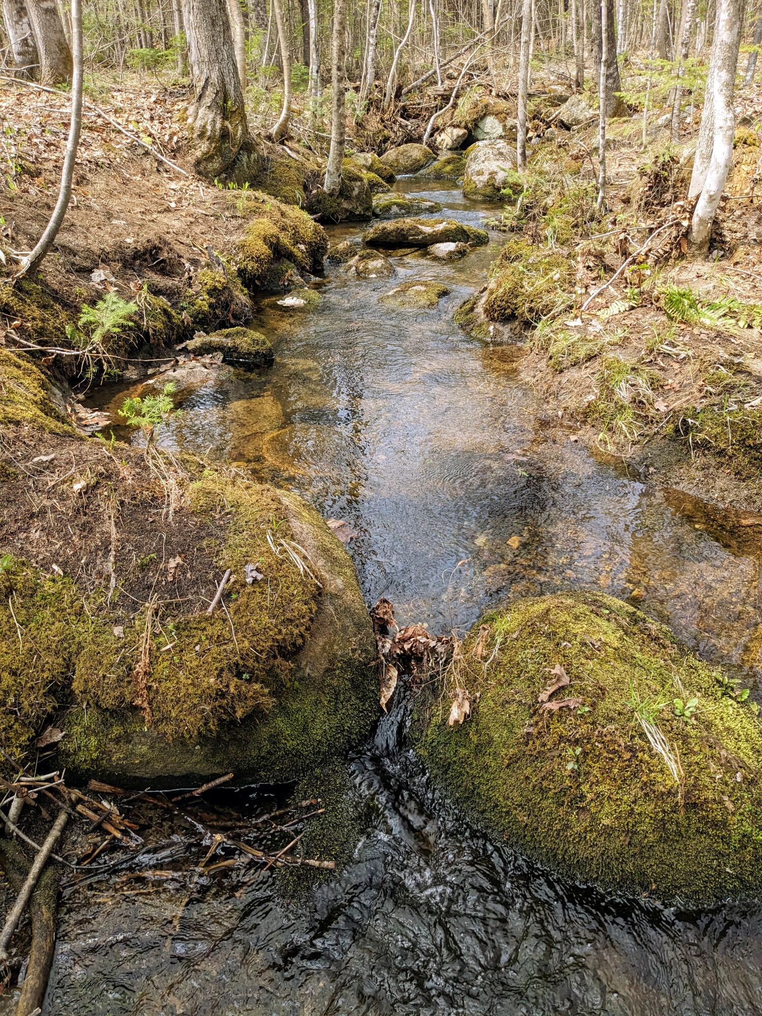 90 Old Bray Hill Road Phillips, ME 04966 - Photo 40 of 40 90 Old Bray Hill Road