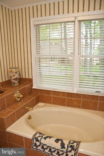 220 Hunters Ridge Road Lutherville-Timonium, MD 21093 - Photo 28 of 30 Bath (Master)