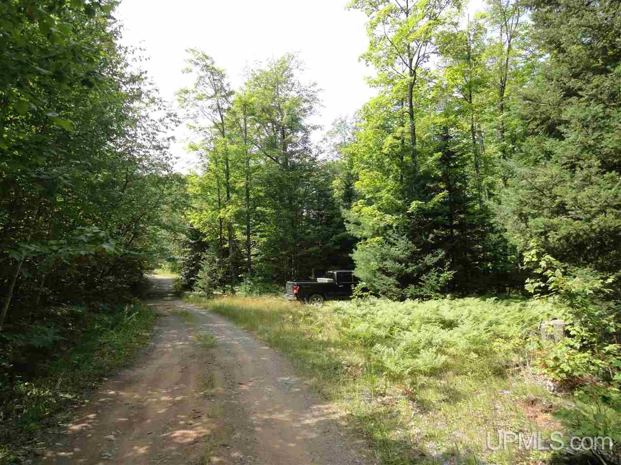 40-acres 40-acres Co Road Ishpeming, MI 49849 - Photo 31 of 36