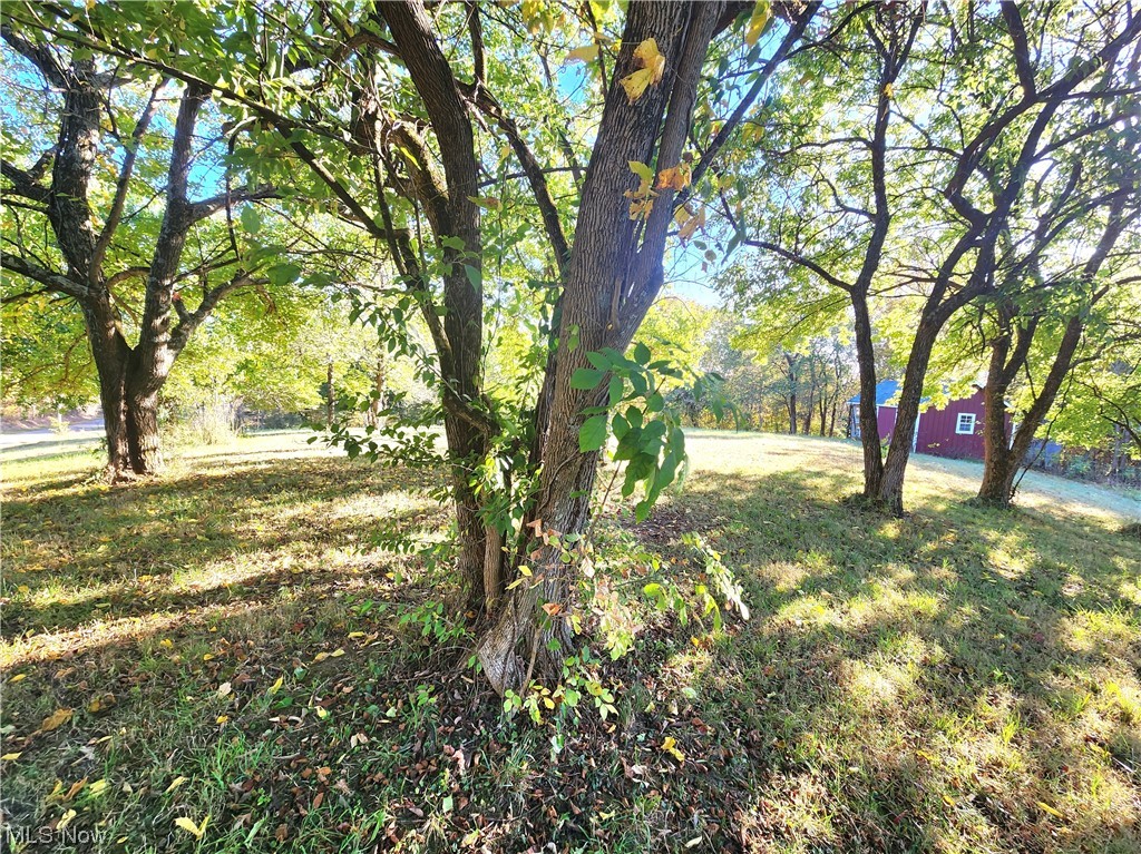 2465 South Elliott Road Stockport, OH 43787 - Photo 14 of 27 View of yard