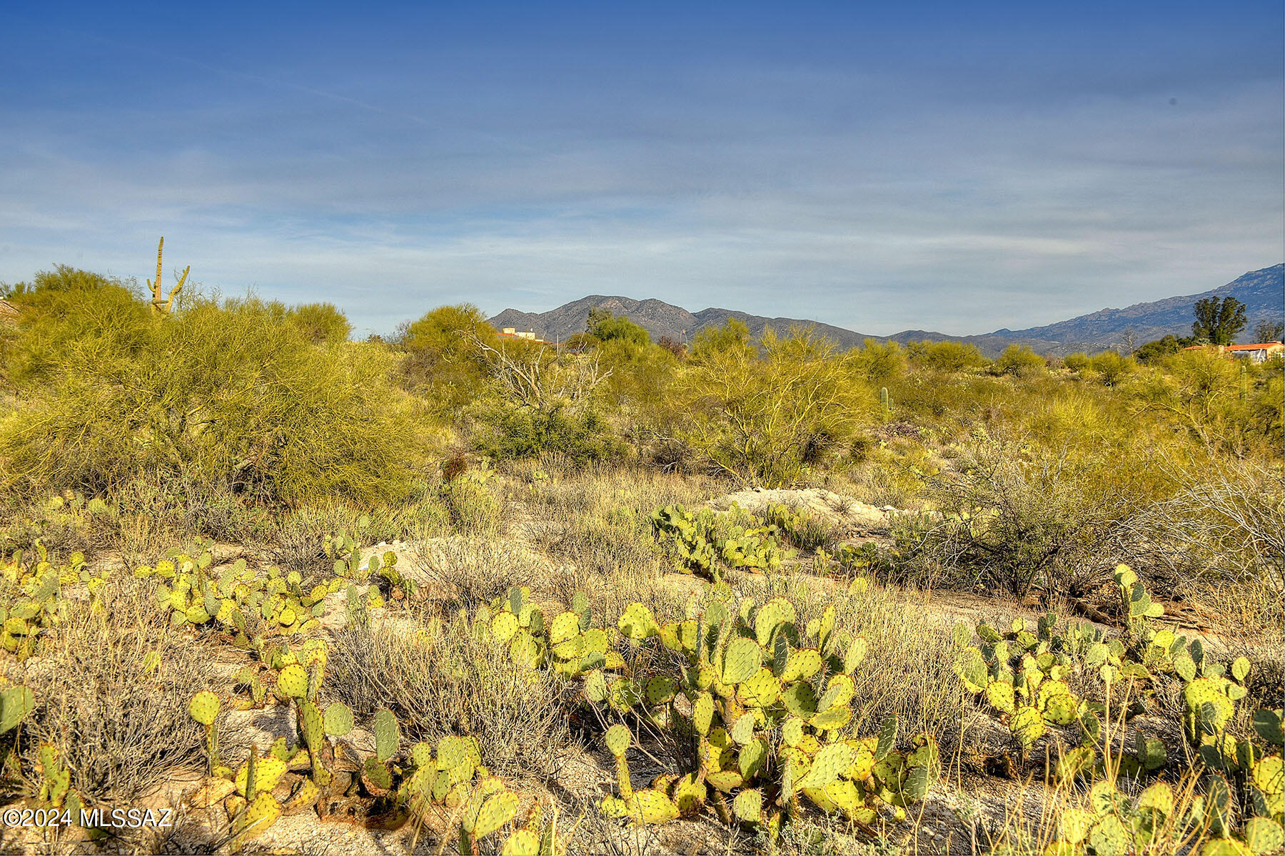 3010 North Deer Track Road Tucson, AZ 85749 - Photo 11 of 12 Gallery Image 11