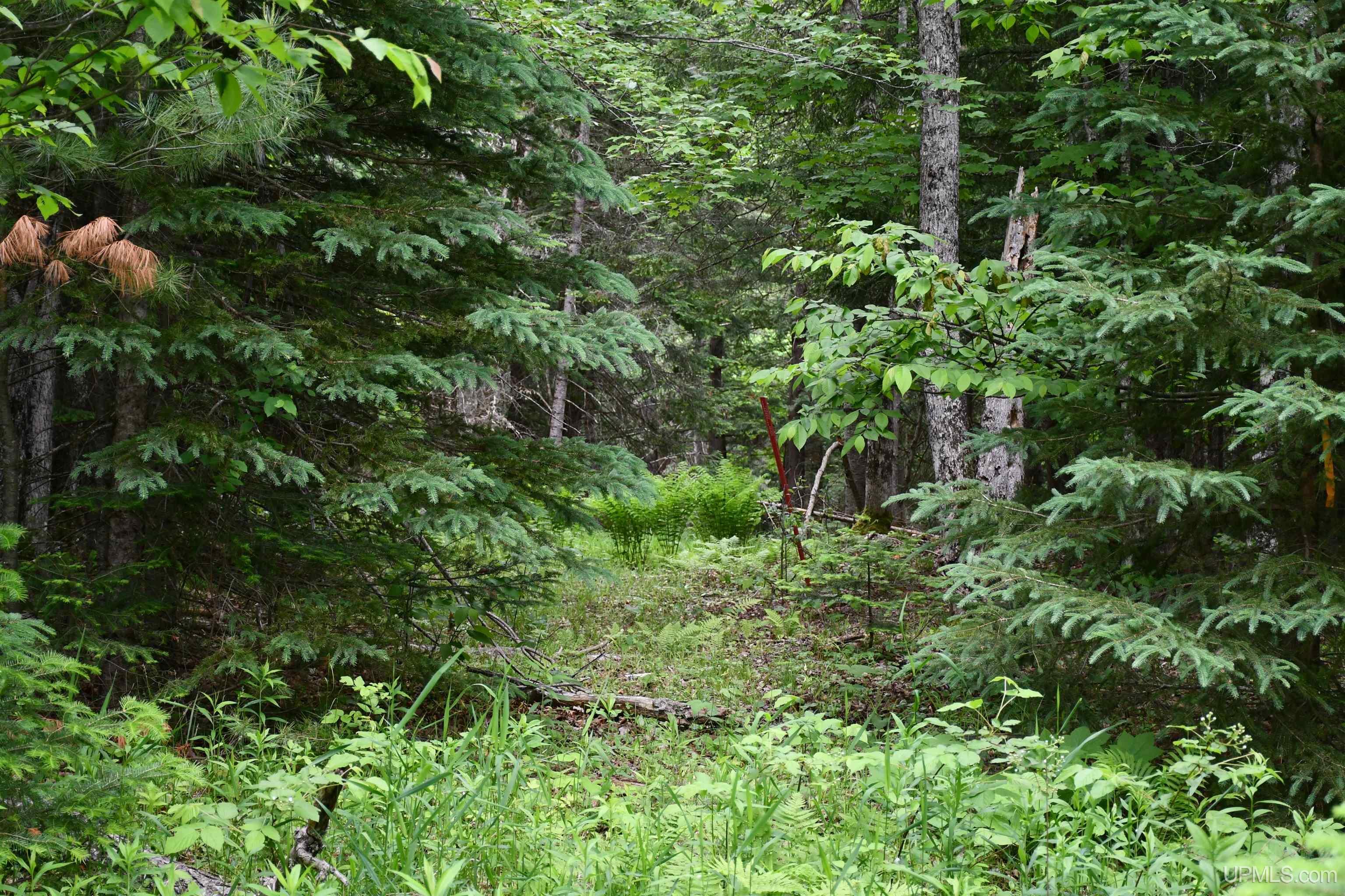 18310 Skanee Road Lanse, MI 49946 - Photo 28 of 71 Gallery Image 28