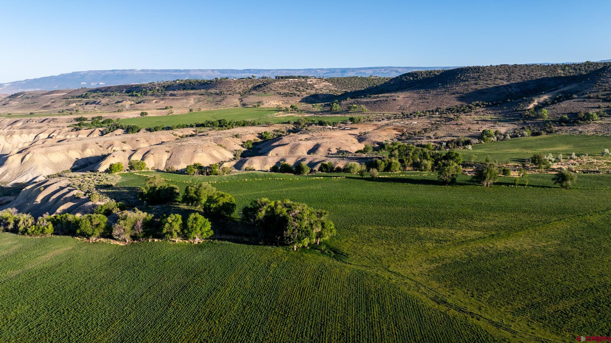 11577 Shamrock Road Hotchkiss, CO 81419 - Photo 41 of 43
