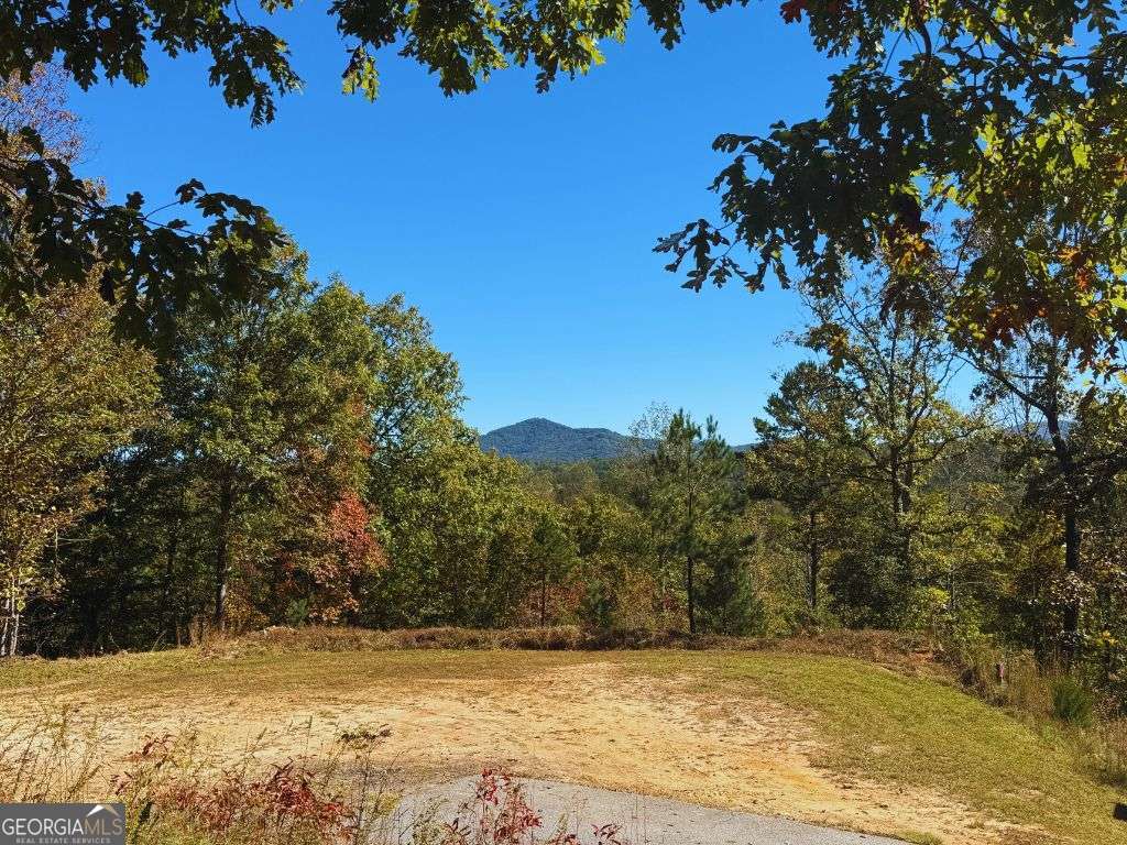 Lot 1 Brasstown Road Brasstown, NC 28902 - Photo 1 of 1 Gallery Image 1