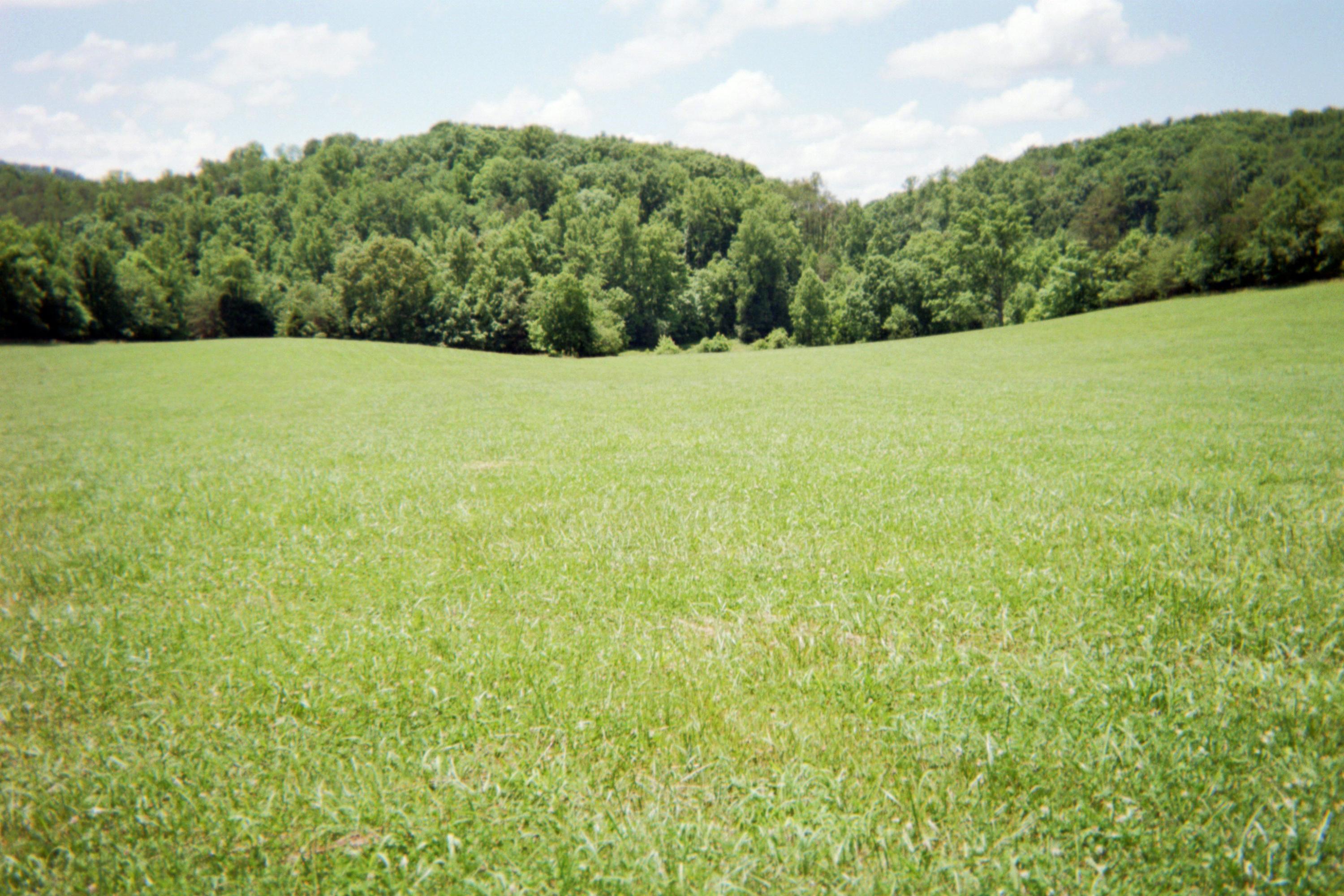 382 Crowder Road Madisonville, TN 37354 - Photo 22 of 34 20