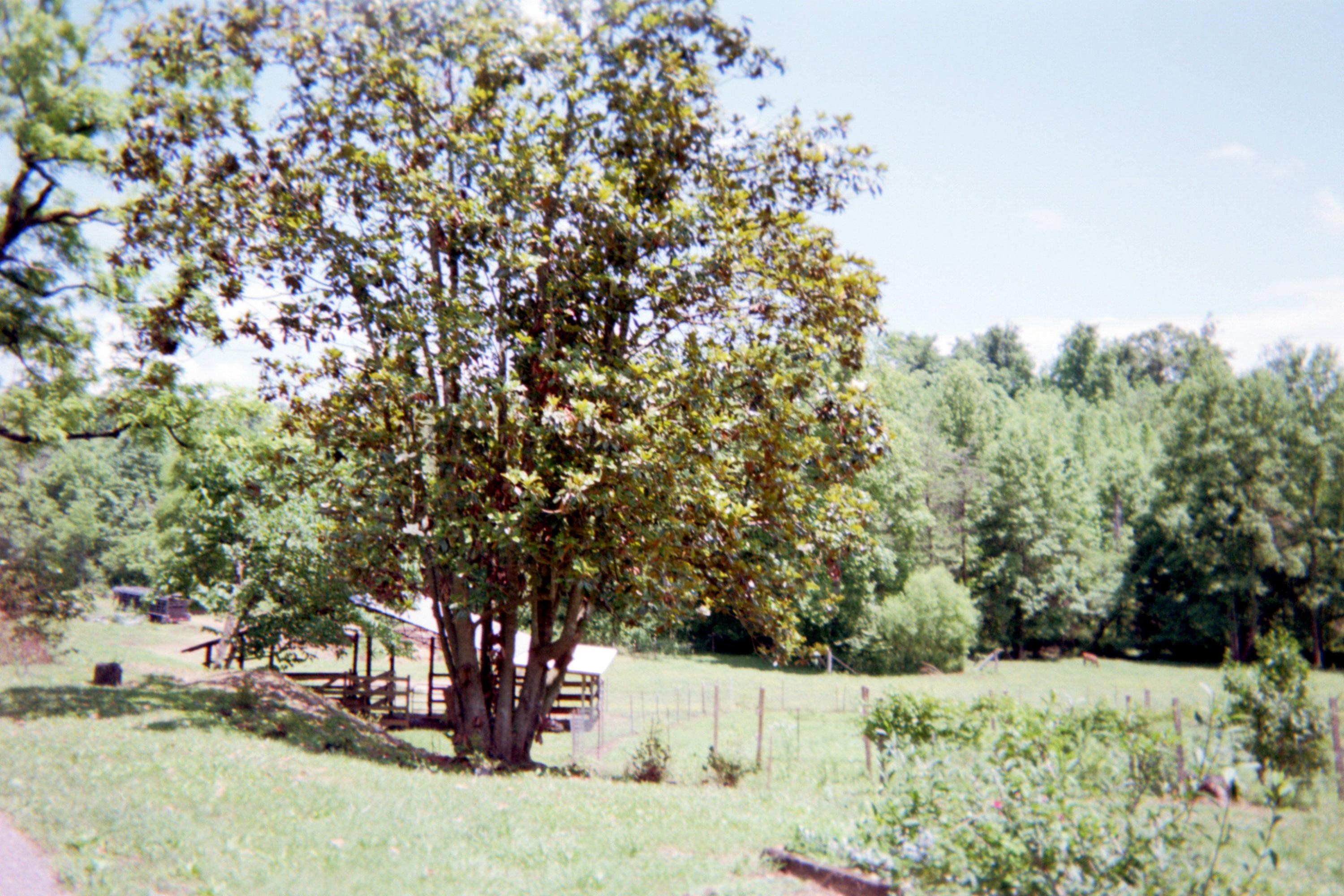 382 Crowder Road Madisonville, TN 37354 - Photo 8 of 34 1