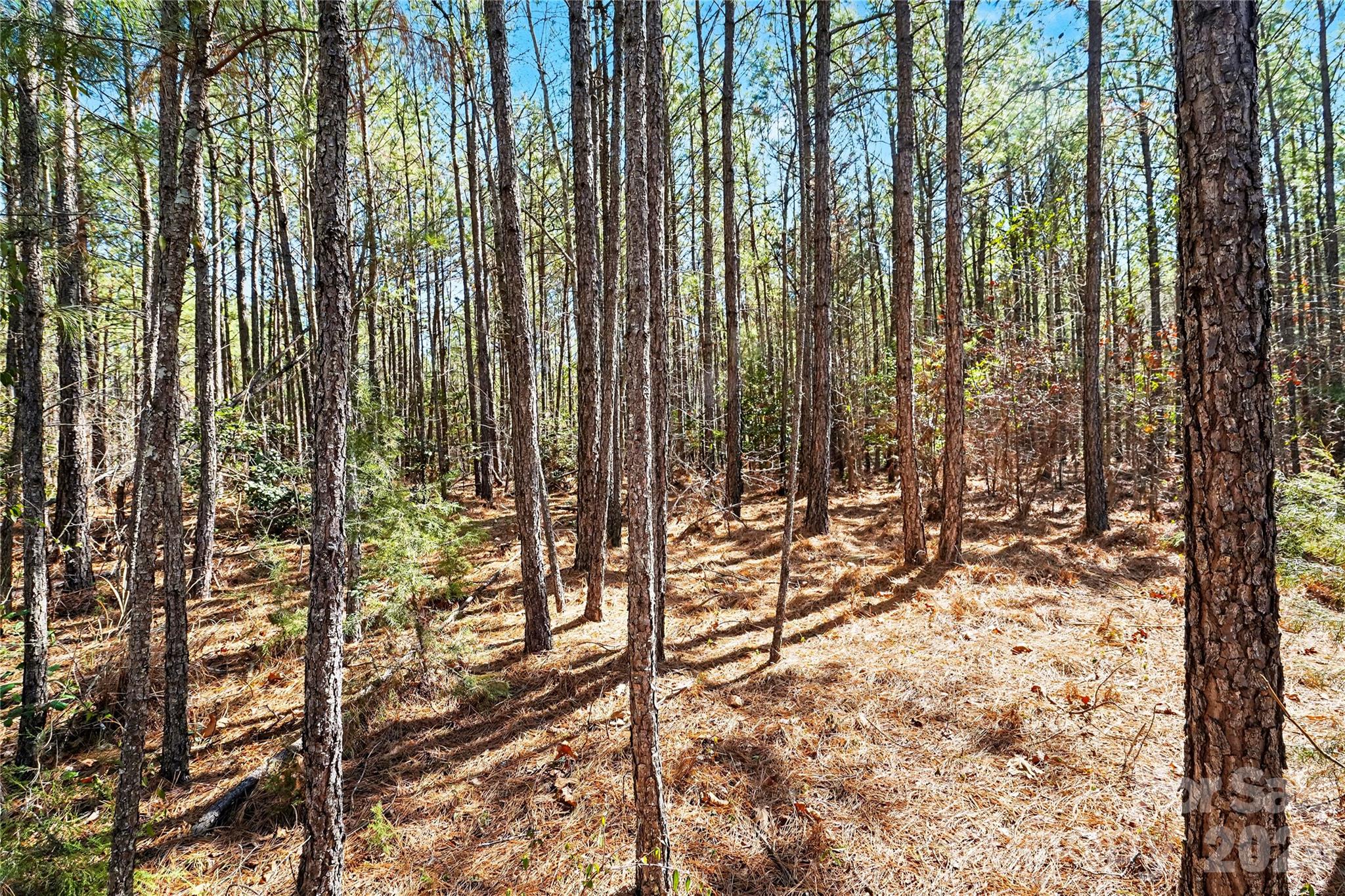 0 Three Crow Road, Unit D2B Lancaster, SC 29720 - Photo 11 of 13 a view of outdoor space with sitting area