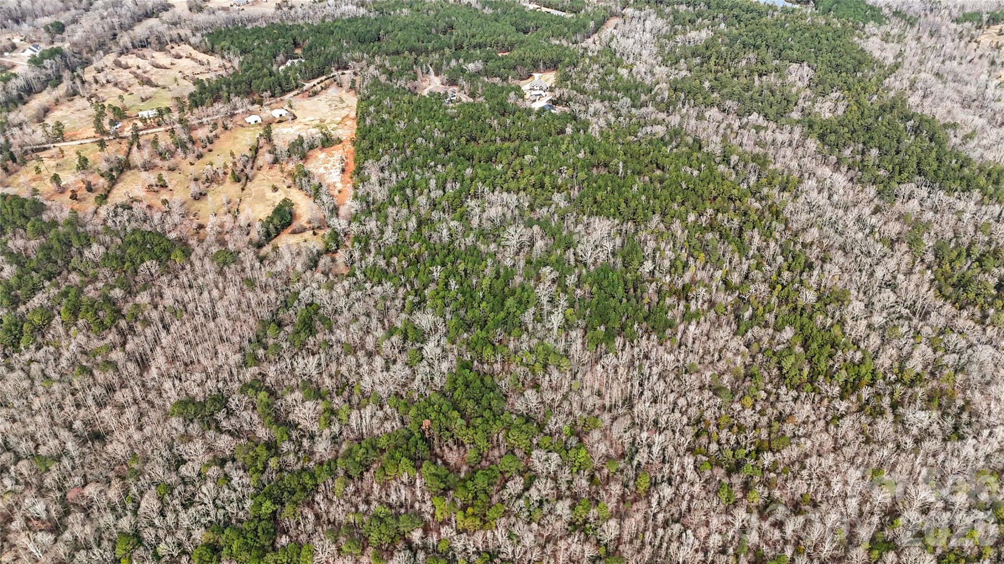 0 Three Crow Road, Unit D2B Lancaster, SC 29720 - Photo 7 of 13 a view of a yard with a plant