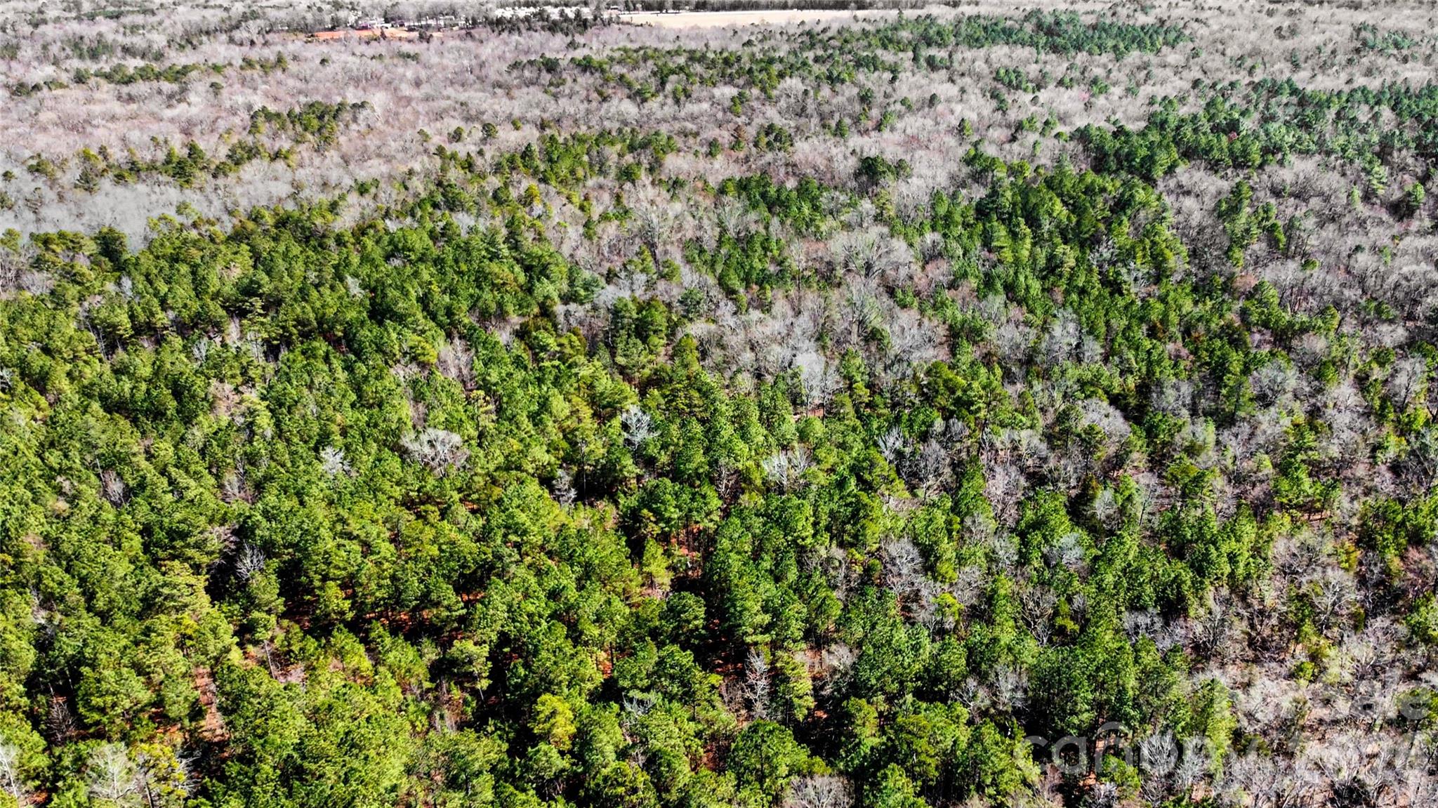 0 Three Crow Road, Unit D2B Lancaster, SC 29720 - Photo 9 of 13 a view of a lush green field
