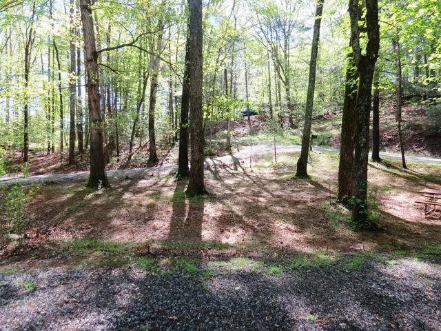 430 Salt House Branch Road Henry, VA 24102 - Photo 3 of 30 FRONT YARD