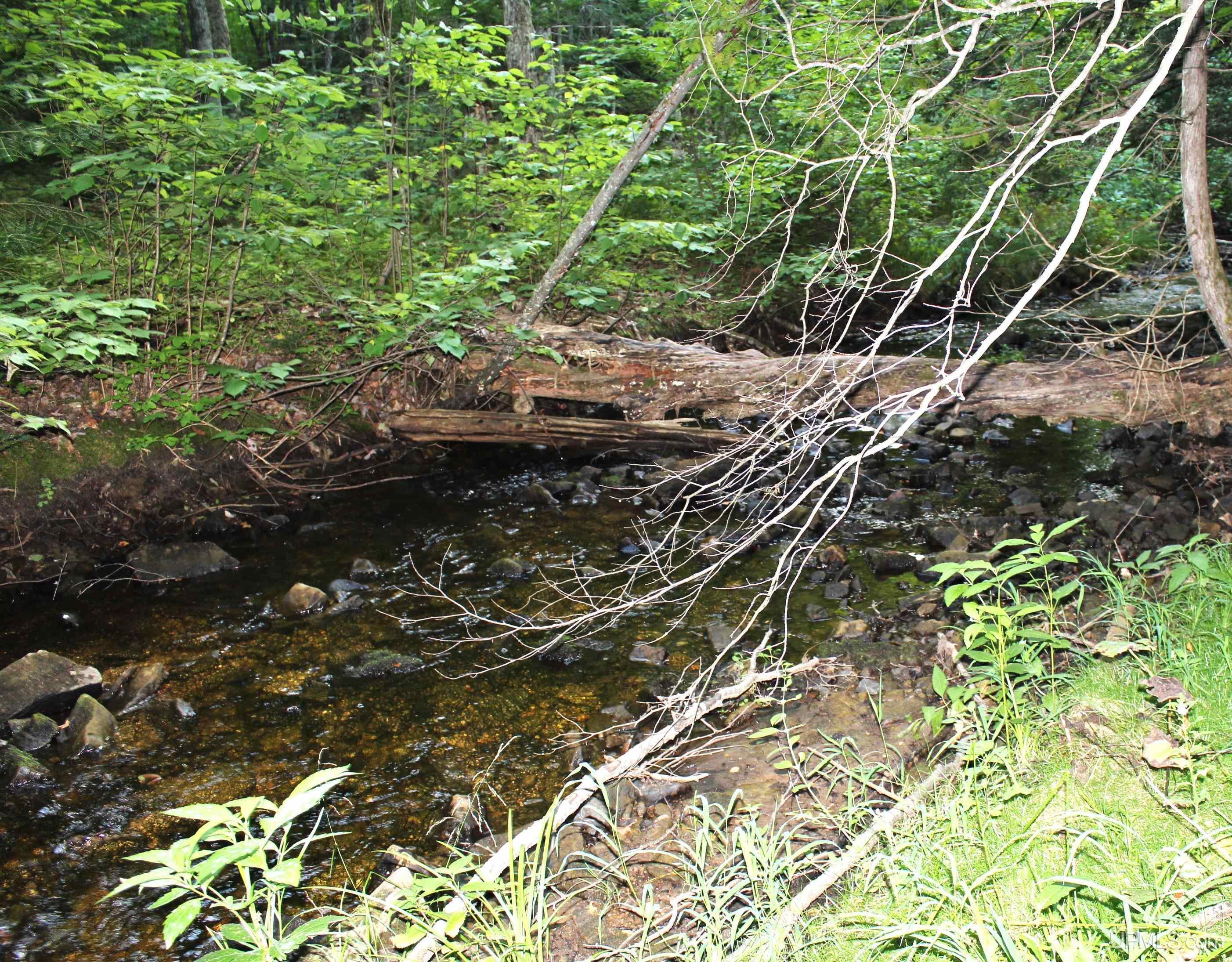 On East Shingleton Road Shingleton, MI 49884 - Photo 3 of 32