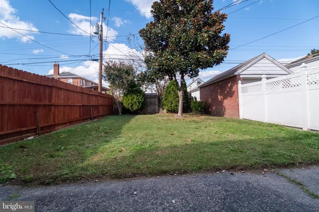 a view of a backyard with potted plants and large tree