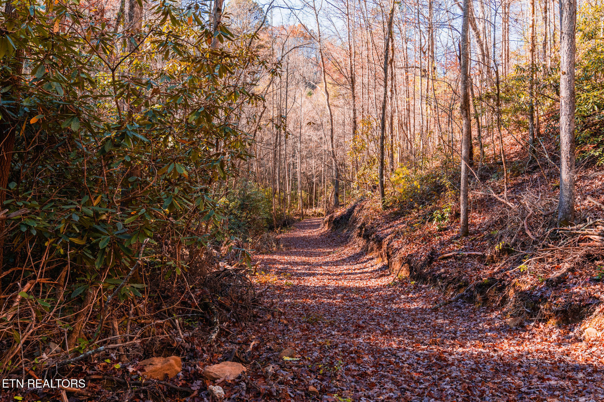 4903 Long Rifle Road Walland, TN 37886 - Photo 12 of 28 Horseback riding, hiking or 4-wheel fun