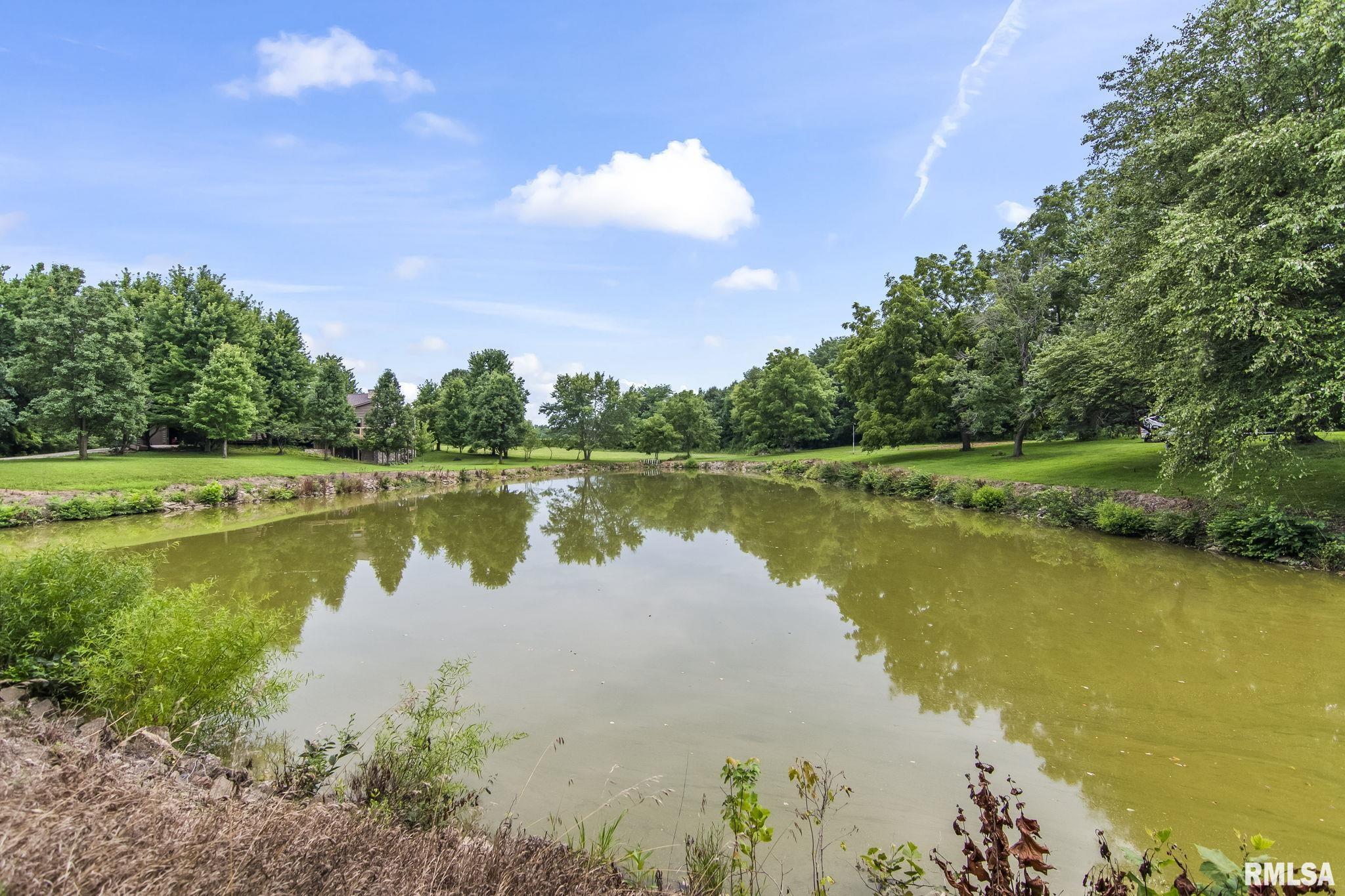 4842 Spaulding Orchard Road Chatham, IL 62629 - Photo 45 of 75 Gallery Image 45