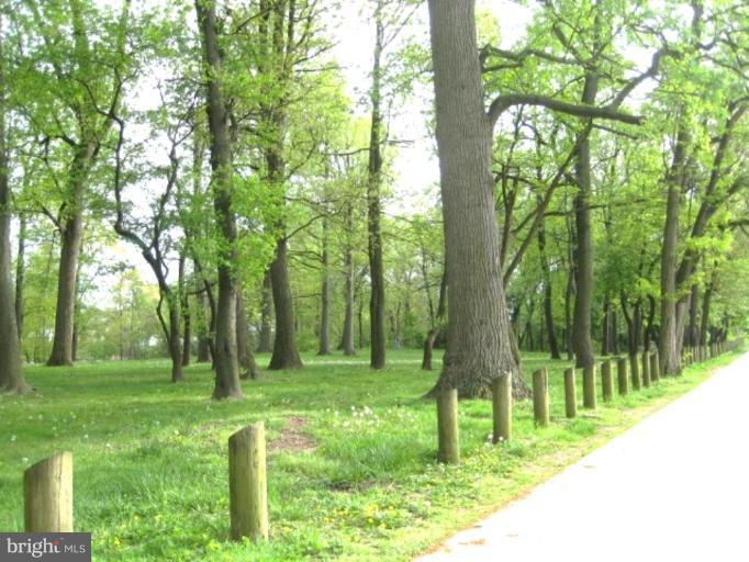 2248 Southorn Road Middle River, MD 21220 - Photo 5 of 21 a view of lush green forest