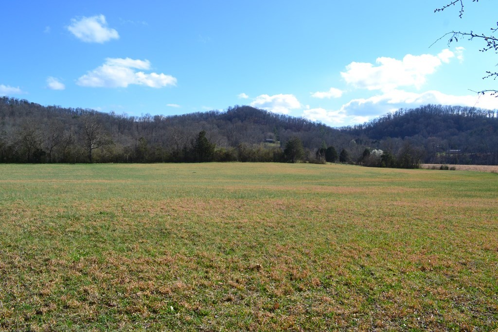 0 Tipton Station Road Knoxville, TN 37920 - Photo 9 of 12