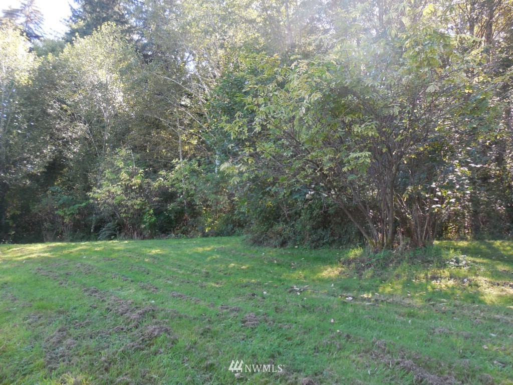 244 Elochoman Valley Road Cathlamet, WA 98612 - Photo 20 of 24 Gallery Image 20