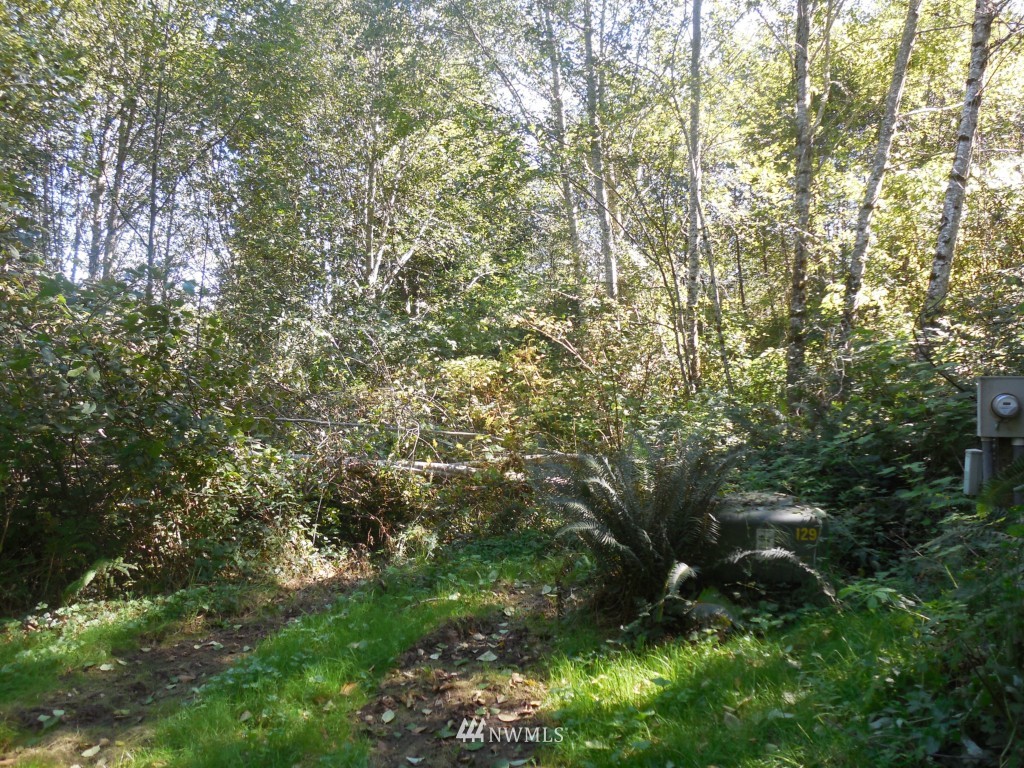 244 Elochoman Valley Road Cathlamet, WA 98612 - Photo 23 of 24 Gallery Image 23