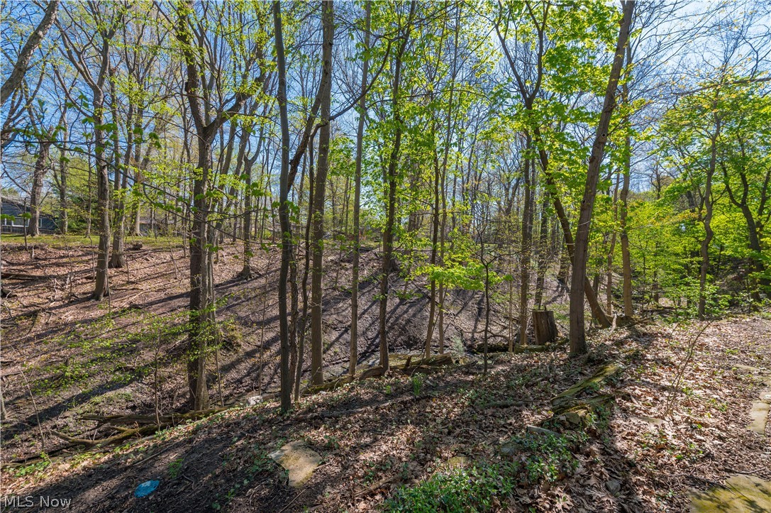 3675 Randolph Road Cleveland Heights, OH 44121 - Photo 47 of 50