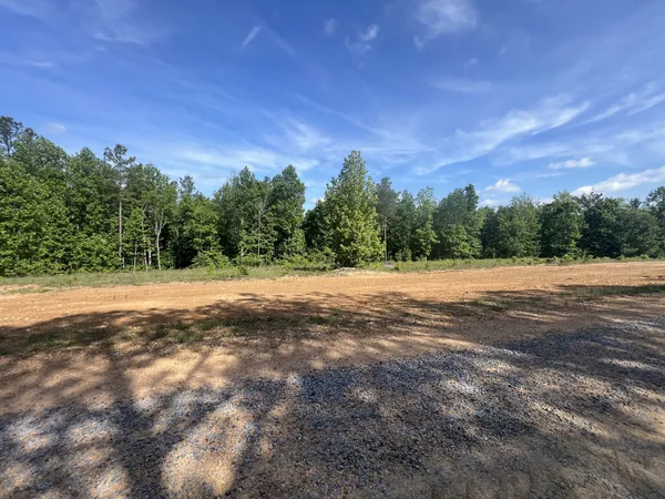 a view of a field with trees in the background