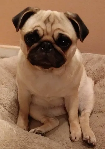 $3,000 | 7000 Boulevard East, Unit 22A, Guttenberg, NJ 07093