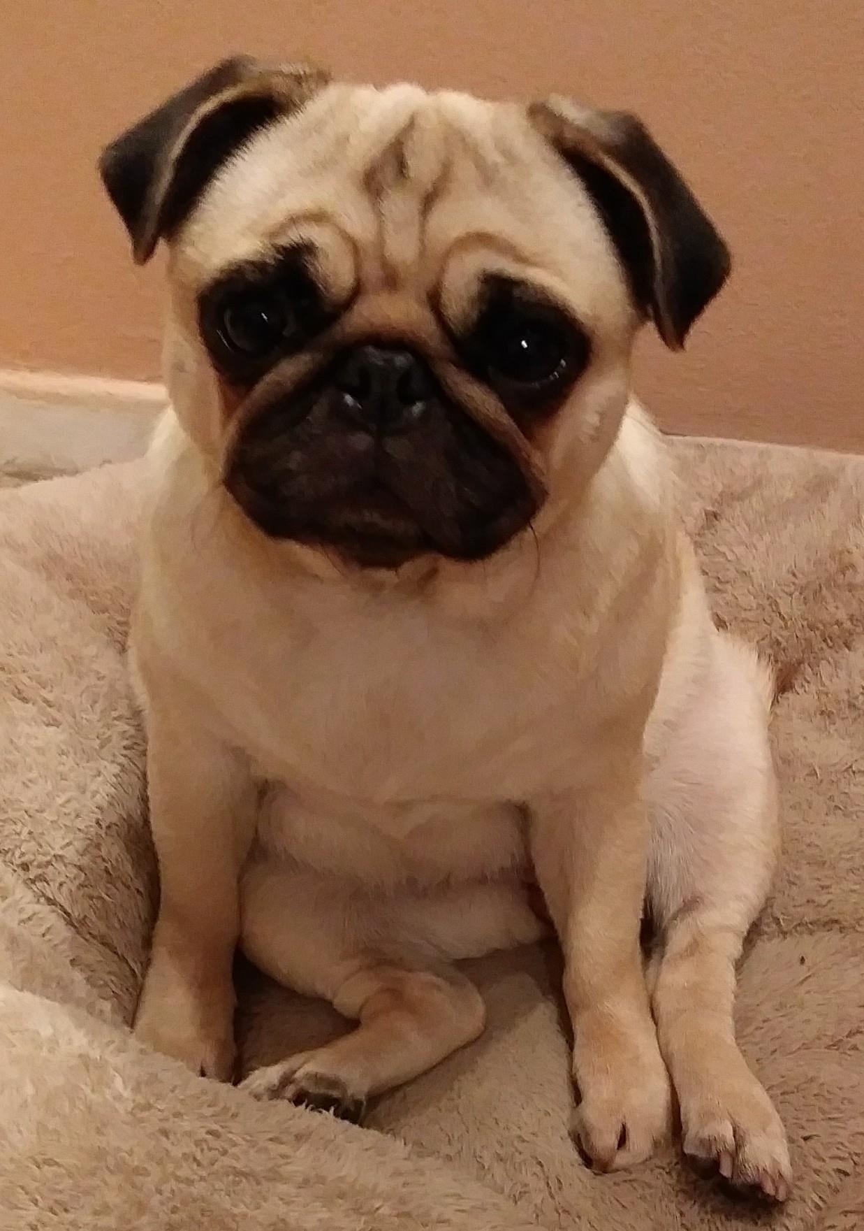 7000 Boulevard East, Unit 22A Guttenberg, NJ 07093 - Photo 31 of 32