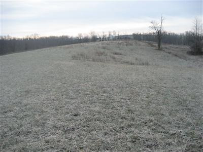 349 Pleasant Spgs Road Carlisle, KY 40311 - Photo 3 of 4 Photo 3