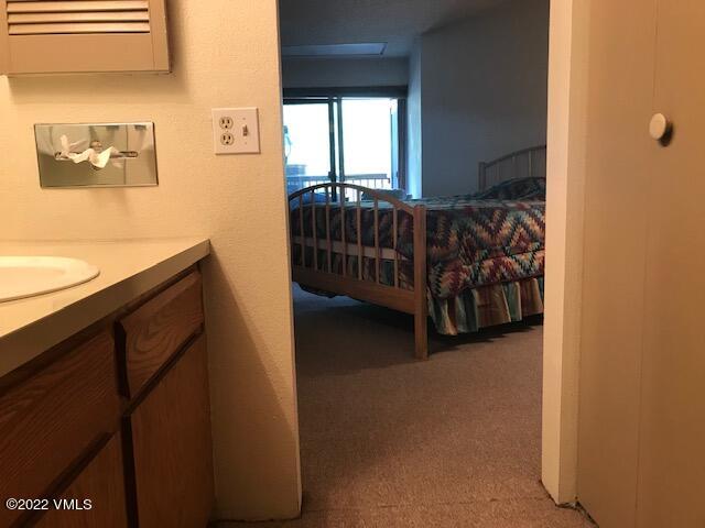 1650 Fall Ridge Road, Unit 111 Vail, CO 81657 - Photo 8 of 12 Sink & Closet